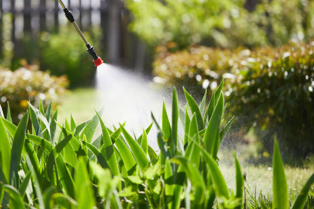 24/7 Emergency Mosquito Control experts in Mason, TX