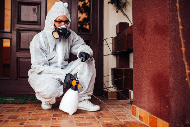 Reliable Mosquito Control contractor in Mason, TX by Show Me Pest Control